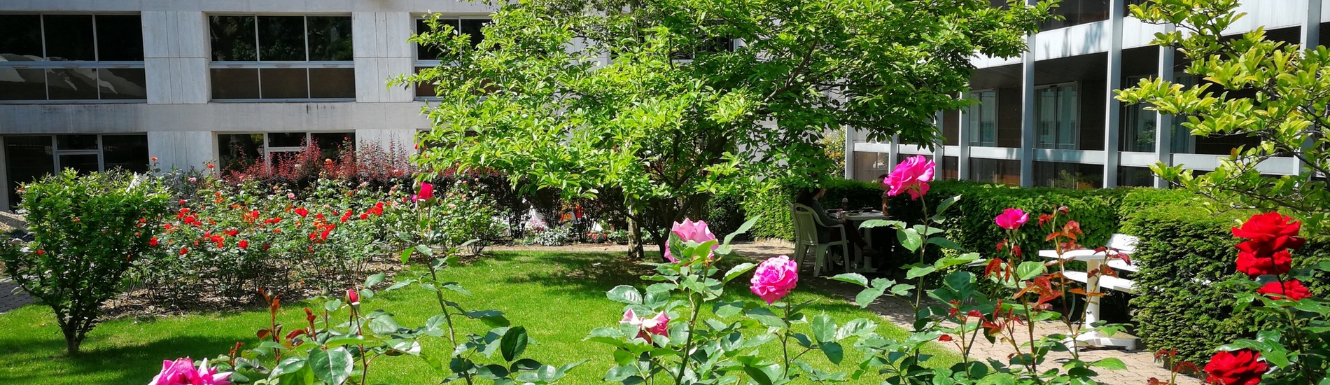 A private garden